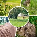 D'hotes Le Chant Des Oiseaux - La Source De Nos Racines - Corps De Ferme Au Coeur Du Parc Naturel De L'avesnois Bed & Breakfast Beaufort (Nord)