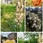 Bed & Breakfast D'hotes Le Chant Des Oiseaux - La Source De Nos Racines - Corps De Ferme Au Coeur Du Parc Naturel De L'avesnois