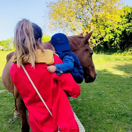 D'hôtes Le Chant Des Oiseaux à La Source De Nos Racines Alojamento de Acomodação e Pequeno-almoço 4*