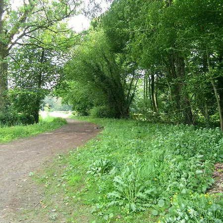 Alojamento de Acomodação e Pequeno-almoço D'hôtes Le Chant Des Oiseaux à La Source De Nos Racines Beaufort (Nord)