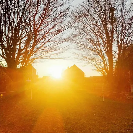 Alojamento de Acomodação e Pequeno-almoço D'hôtes Le Chant Des Oiseaux à La Source De Nos Racines 4*