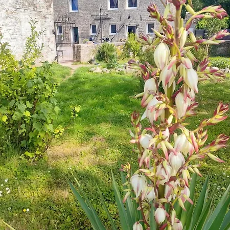 Bed & Breakfast D'hotes Le Chant Des Oiseaux - La Source De Nos Racines - Corps De Ferme Au Coeur Du Parc Naturel De L'avesnois 4*