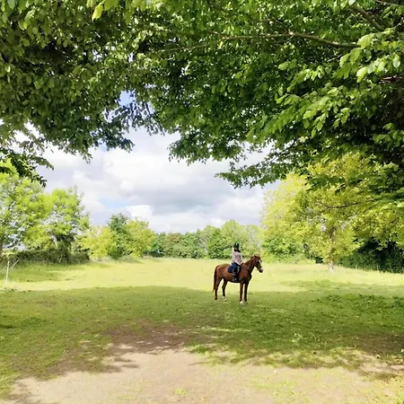 D'hotes Le Chant Des Oiseaux - La Source De Nos Racines - Corps De Ferme Au Coeur Du Parc Naturel De L'avesnois Bed & Breakfast Beaufort (Nord)