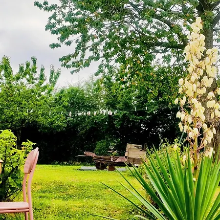 D'hôtes Le Chant Des Oiseaux à La Source De Nos Racines 4* Beaufort (Nord)