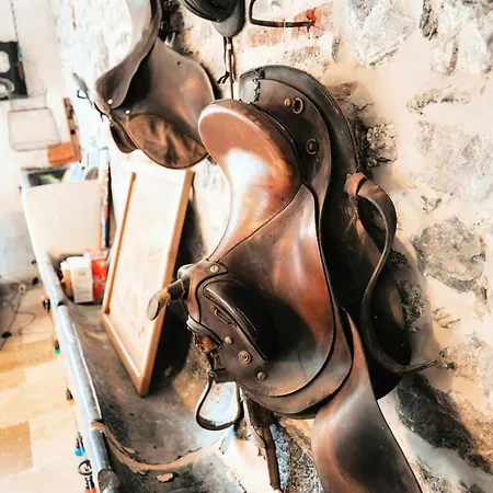 D'hotes Le Chant Des Oiseaux - La Source De Nos Racines - Corps De Ferme Au Coeur Du Parc Naturel De L'avesnois Beaufort (Nord)