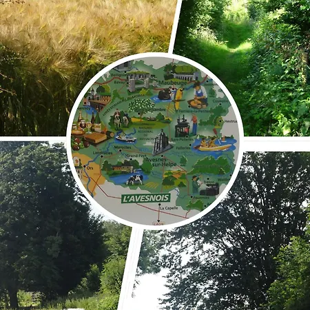 D'hotes Le Chant Des Oiseaux - La Source De Nos Racines - Corps De Ferme Au Coeur Du Parc Naturel De L'avesnois 3* Beaufort (Nord)
