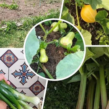 Oda ve Kahvaltı D'hotes Le Chant Des Oiseaux - La Source De Nos Racines - Corps De Ferme Au Coeur Du Parc Naturel De L'avesnois 4*