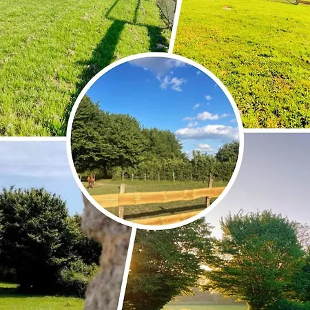 Alojamento de Acomodação e Pequeno-almoço D'hôtes Le Chant Des Oiseaux à La Source De Nos Racines Beaufort (Nord)