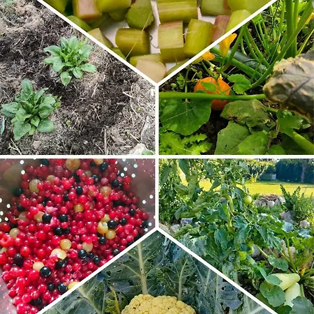 D'hotes Le Chant Des Oiseaux - La Source De Nos Racines - Corps De Ferme Au Coeur Du Parc Naturel De L'avesnois