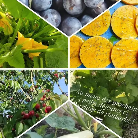 D'hotes Le Chant Des Oiseaux - La Source De Nos Racines - Corps De Ferme Au Coeur Du Parc Naturel De L'avesnois 4* Beaufort (Nord)
