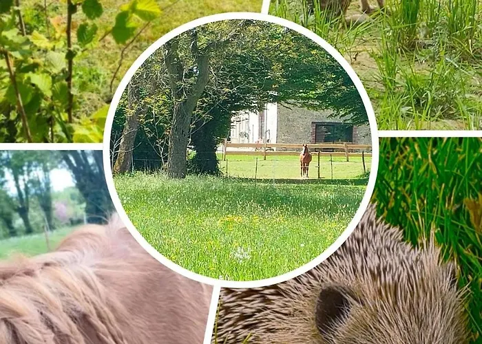D'hotes Le Chant Des Oiseaux - La Source De Nos Racines - Corps De Ferme Au Coeur Du Parc Naturel De L'avesnois فندق مبيت وإفطار Beaufort (Nord)